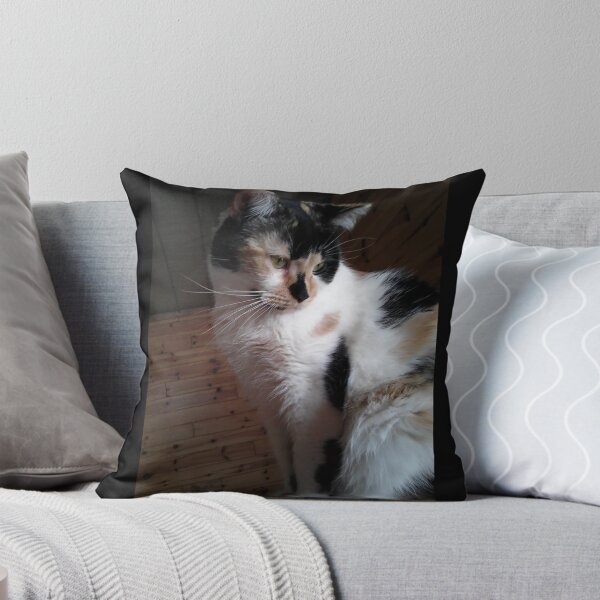 Item preview, Precious Curious Calico Cat designed and sold by Rebecca Jane.