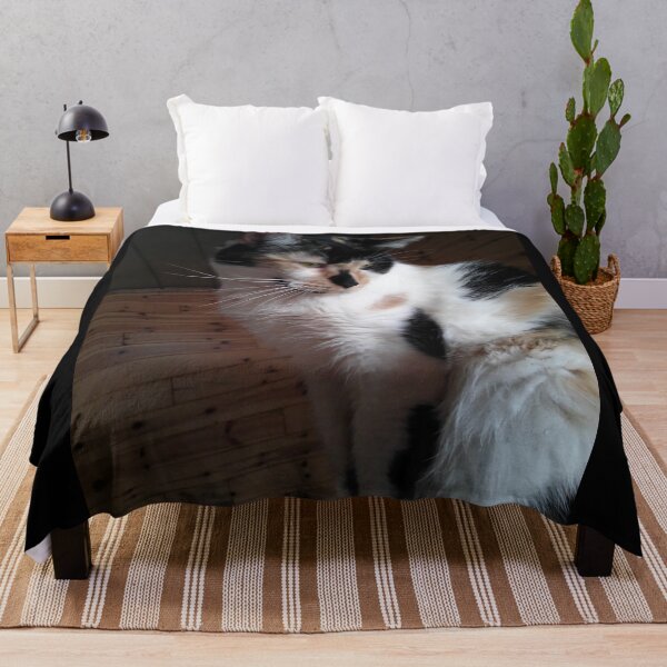 Item preview, Precious Curious Calico Cat designed and sold by Rebecca Jane.
