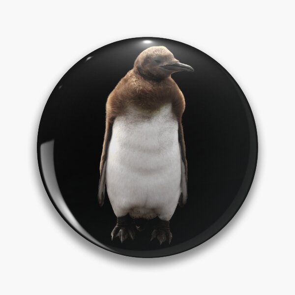 Item preview, Cute Standing King Penguin Chick (black background) designed and sold by SBPenguins.