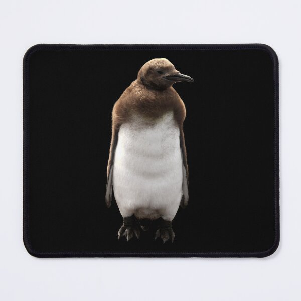 Item preview, Cute Standing King Penguin Chick (black background) designed and sold by SBPenguins.