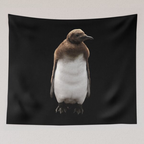Item preview, Cute Standing King Penguin Chick (black background) designed and sold by SBPenguins.