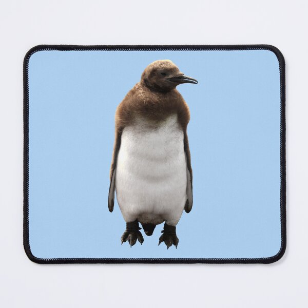 Item preview, Cute Standing King Penguin Chick (Light Blue #AFD6F8 background) designed and sold by SBPenguins.