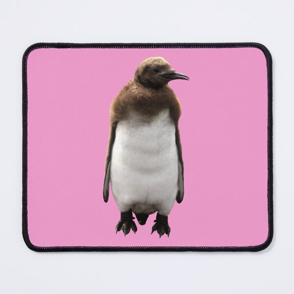 Item preview, Cute Standing King Penguin Chick (Pink #F699CD background) designed and sold by SBPenguins.