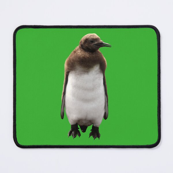 Item preview, Cute Standing King Penguin Chick (Bright Green #35B02C background) designed and sold by SBPenguins.