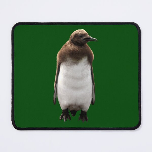 Item preview, Cute Standing King Penguin Chick (Dark Green #014606 background) designed and sold by SBPenguins.