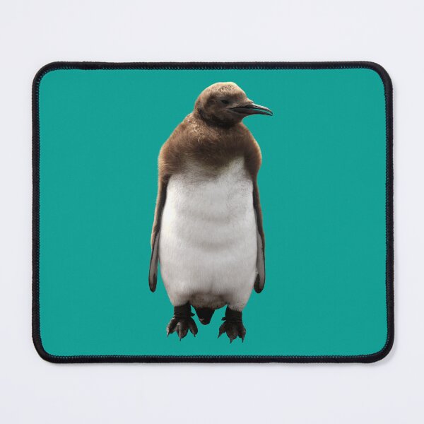 Item preview, Cute Standing King Penguin Chick (Teal #03A096 background) designed and sold by SBPenguins.