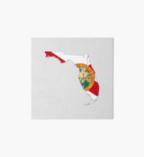 Flag Map of Florida Art Board