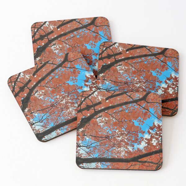 Item preview, Through the Branches of a Late Autumn Maple designed and sold by Quincy-Hedgehog.