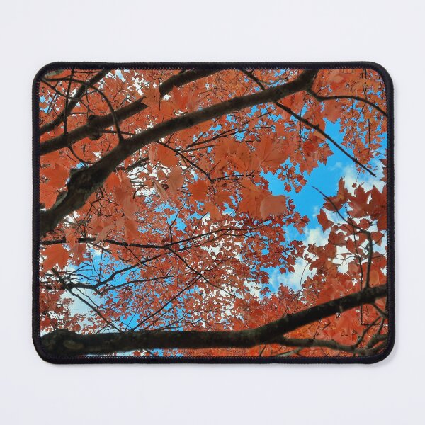 Item preview, Through the Branches of a Late Autumn Maple designed and sold by Quincy-Hedgehog.