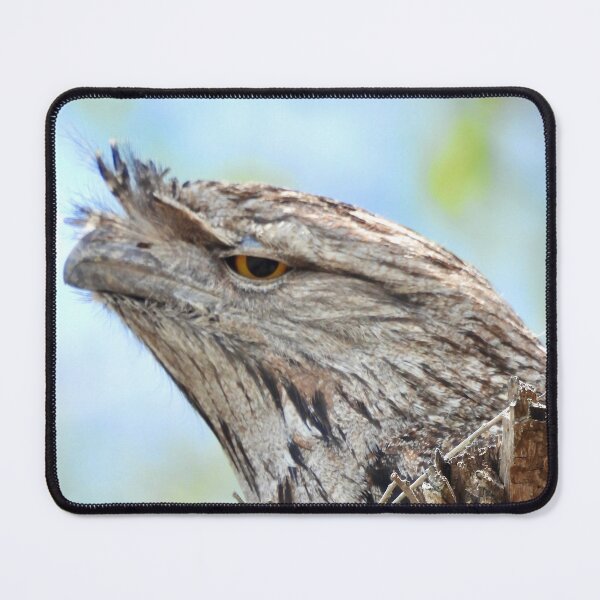 Item preview, Tawny Frogmouth profile on nest designed and sold by Mark Grimsley.