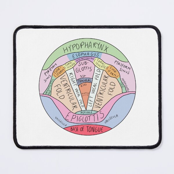 Item preview, Vocal Anatomy Diagram Speech Pathology designed and sold by speechiesandco.