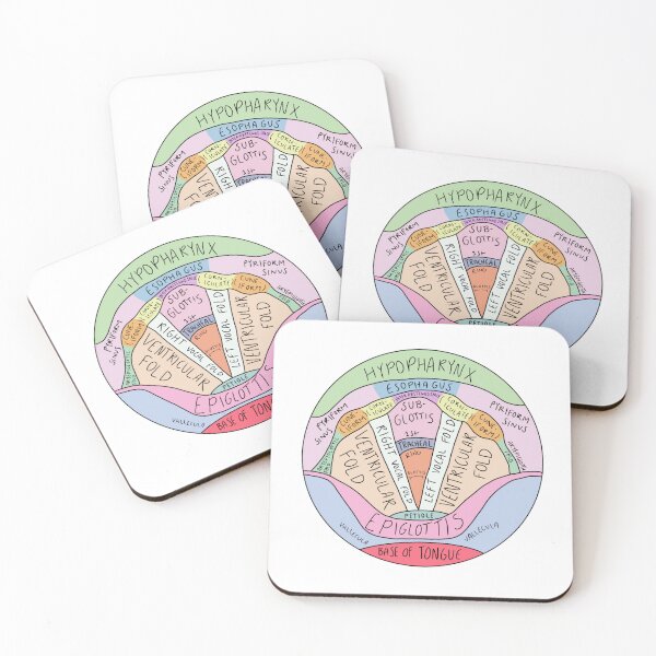 Item preview, Vocal Anatomy Diagram Speech Pathology designed and sold by speechiesandco.