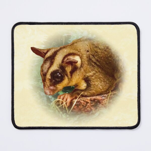 Item preview, Sugar glider designed and sold by Guardi71.