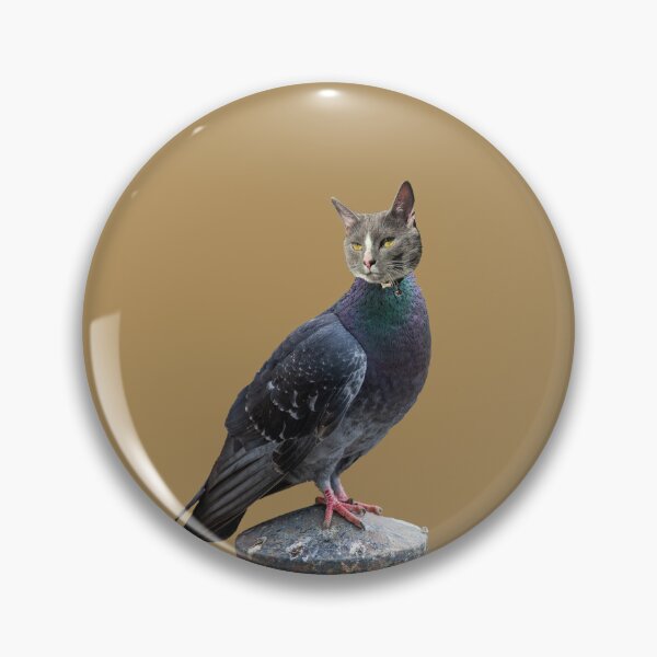 Item preview, Mr. Pidgey Pigeon (PNG) designed and sold by AdkinsProvince.