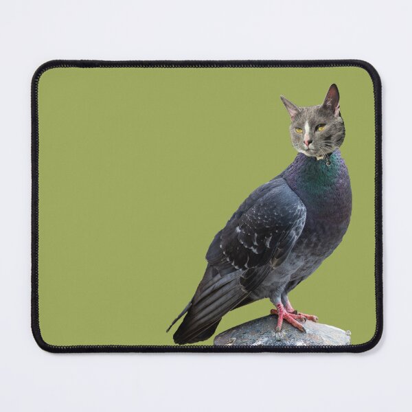 Item preview, Mr. Pidgey Pigeon (PNG) designed and sold by AdkinsProvince.