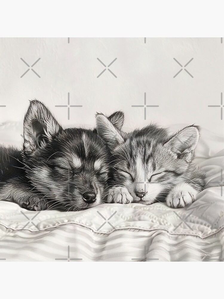 Black and white Cat and Dog Sleeping pencil drawing