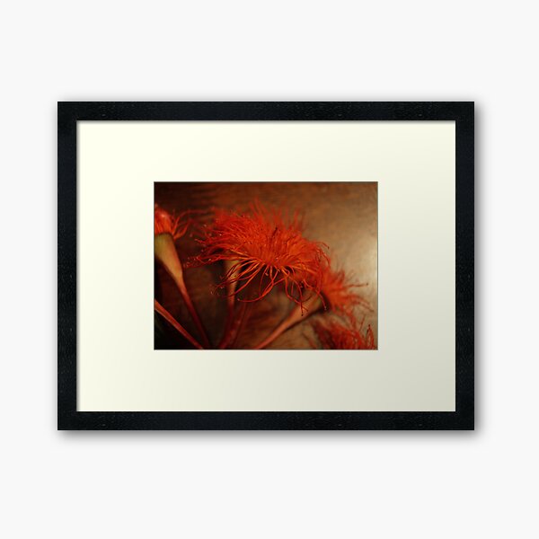 Item preview, Burnt Orange designed and sold by yolanda.