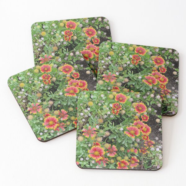 Item preview, Cape Verde, flora, flowers, orange, yellow, red, photography, Bebicervin designed and sold by BebiCervin.