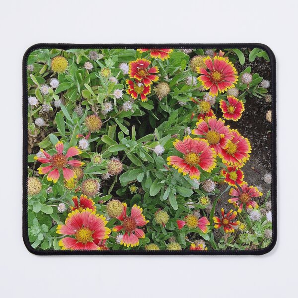 Item preview, Cape Verde, flora, flowers, orange, yellow, red, photography, Bebicervin designed and sold by BebiCervin.