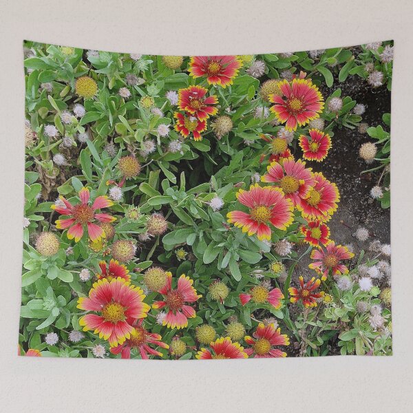 Item preview, Cape Verde, flora, flowers, orange, yellow, red, photography, Bebicervin designed and sold by BebiCervin.