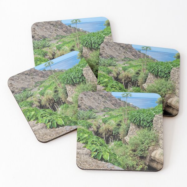 Item preview, Africa, Cape Verde, Tarrafal, gardens, photography, Bebicervin designed and sold by BebiCervin.