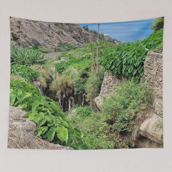 Item preview, Africa, Cape Verde, Tarrafal, gardens, photography, Bebicervin designed and sold by BebiCervin.