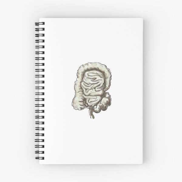 Item preview, The Colon designed and sold by TIBOM.