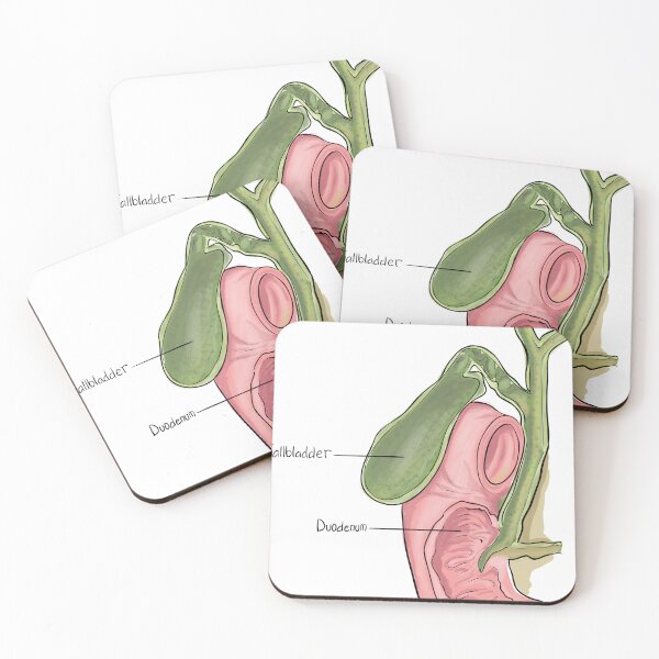 Item preview, Gallbladder designed and sold by TIBOM.