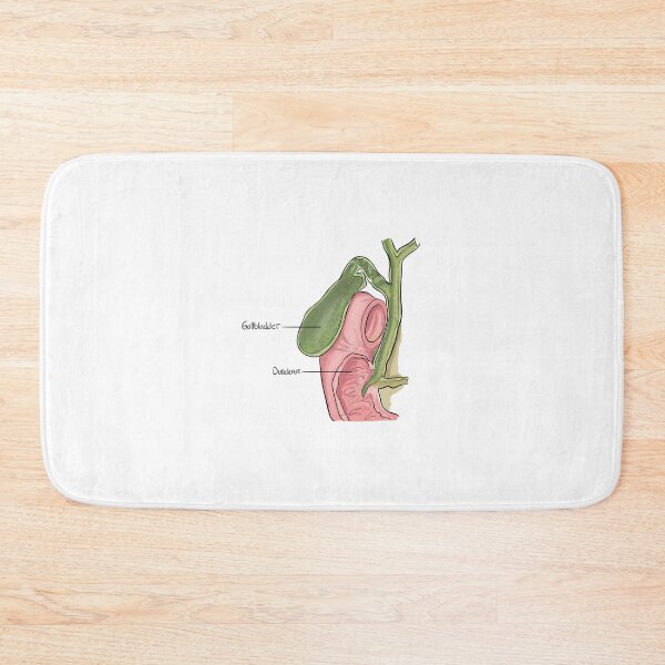 Item preview, Gallbladder designed and sold by TIBOM.