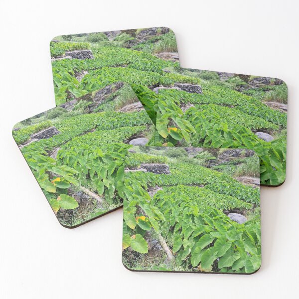 Item preview, Africa, Cape Verde, Santo Antao, Tarrafal, fields, photography, Bebicervin designed and sold by BebiCervin.