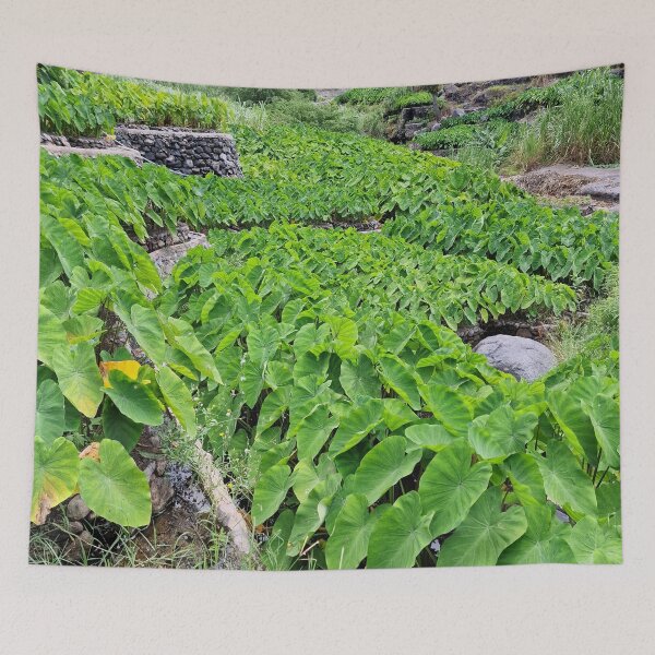 Item preview, Africa, Cape Verde, Santo Antao, Tarrafal, fields, photography, Bebicervin designed and sold by BebiCervin.