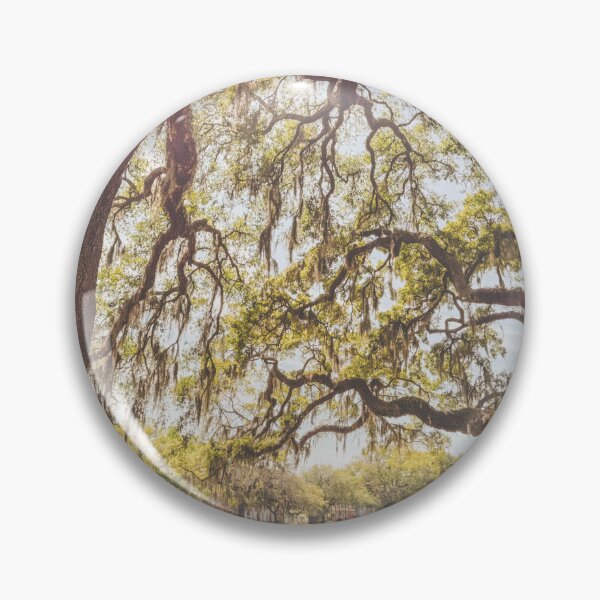 Item preview, Trees With Stories to Tell designed and sold by Mlhamblin.