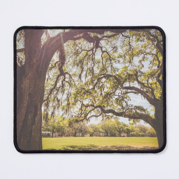 Item preview, Trees With Stories to Tell designed and sold by Mlhamblin.