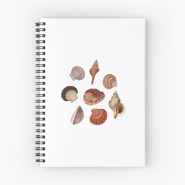 Item preview, shells sticker pack | baby tee | t shirt designed and sold by y4ilf0r3ver.
