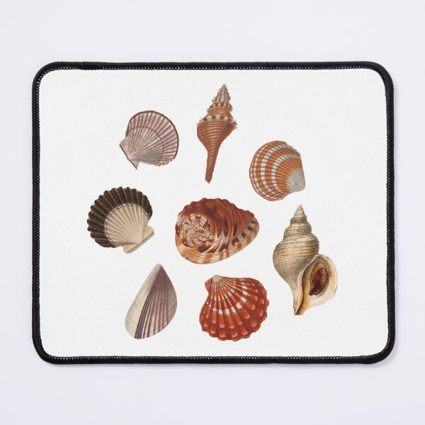 Item preview, shells sticker pack | baby tee | t shirt designed and sold by y4ilf0r3ver.