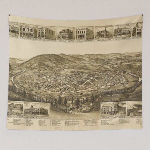Item preview, Aerial View of Harriman, Tennessee (1892) designed and sold by allhistory.