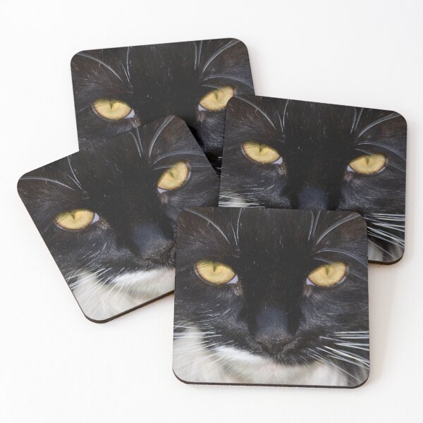 Item preview, Hypnotizing eyes, Mr. Darcy, tuxedo cat designed and sold by Sandy Maya's Artwork.
