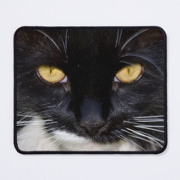 Item preview, Hypnotizing eyes, Mr. Darcy, tuxedo cat designed and sold by Sandy Maya's Artwork.