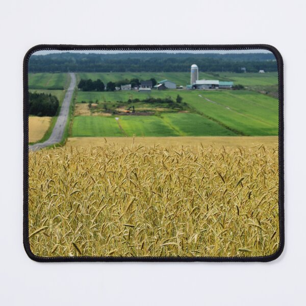 Item preview, A wheat field in summer designed and sold by Claude Laprise.