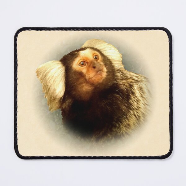 Item preview, Marmoset designed and sold by Guardi71.
