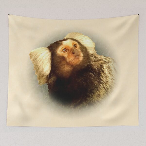 Item preview, Marmoset designed and sold by Guardi71.