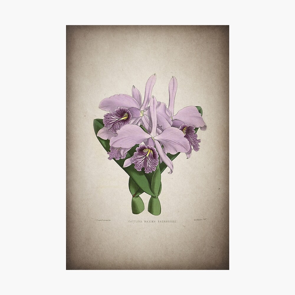 Music Decor DIY Decor Phllip Phillips Home Music Poster Digital Image Poster