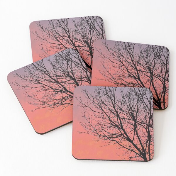 Item preview, Dramatic contrasts of the birch tree in the sunset sky.  designed and sold by Eva Studená Photography.