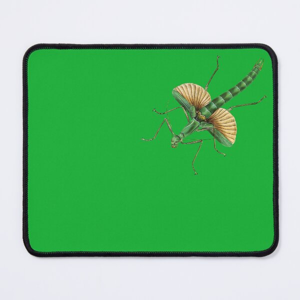 Item preview, Big green stick insect. designed and sold by Luggnagg.
