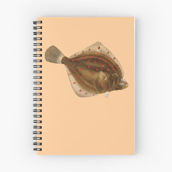 Item preview, Flatfish - European plaice. designed and sold by Luggnagg.