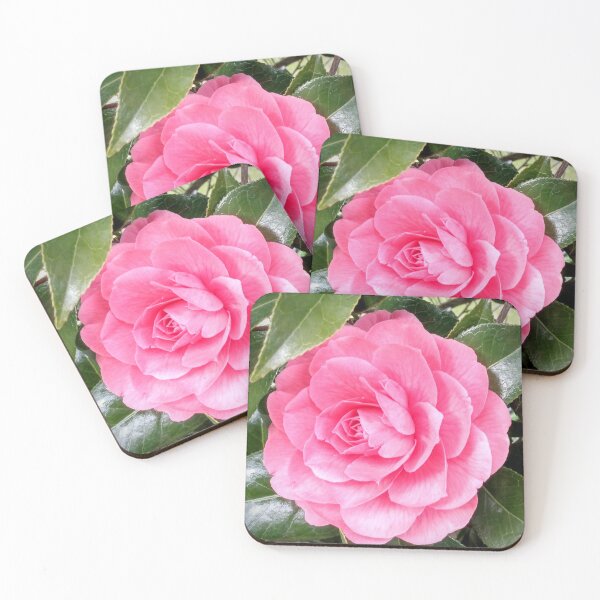 Item preview, Single pink open rose  designed and sold by SeptemberMorn.