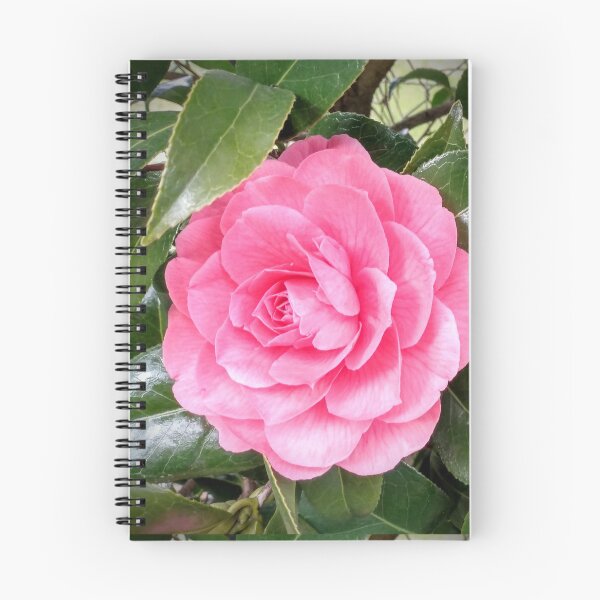 Item preview, Single pink open rose  designed and sold by SeptemberMorn.