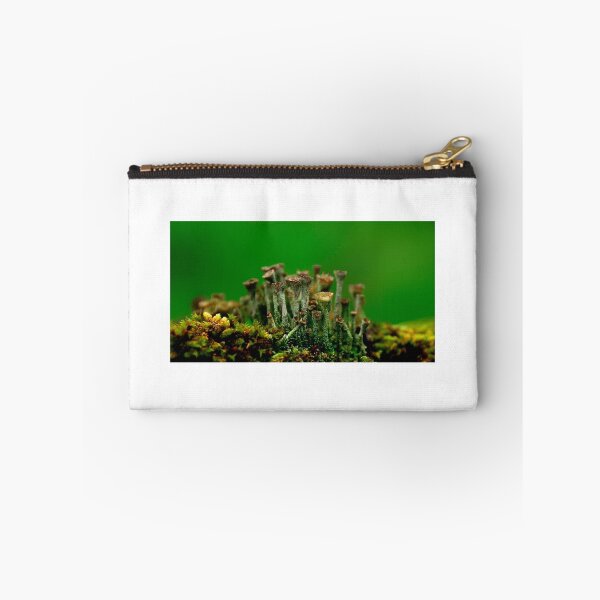 Item preview, For my lovely Anna.....The Micro Rainforest.....Beautiful Moss and Lichen (Cladonia Fimbriata) ( the stem measures about 2 mm in diameter, the height about 1 cm ) designed and sold by Imi Koetz.