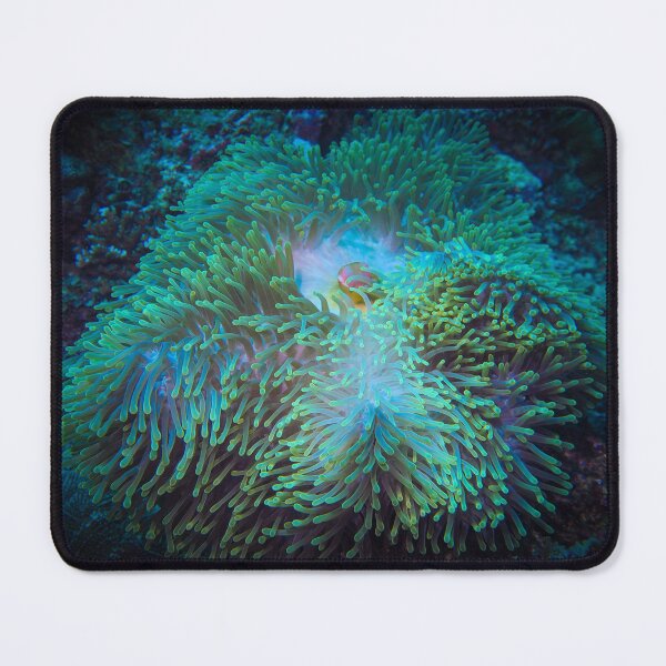 Item preview, Technicolor Tentacles  designed and sold by SalishSeascapes.