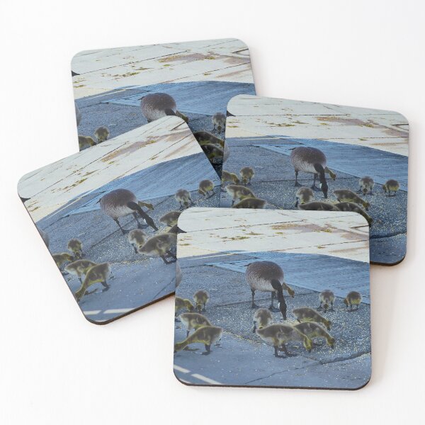 Item preview, Canada Goose Family In The Shade designed and sold by BackyardBirder.
